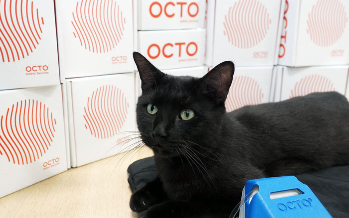 Staff Spotlight: Meet Puki